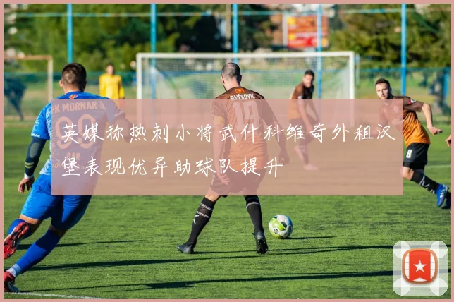 英媒称热刺小将武什科维奇外租汉堡表现优异助球队提升